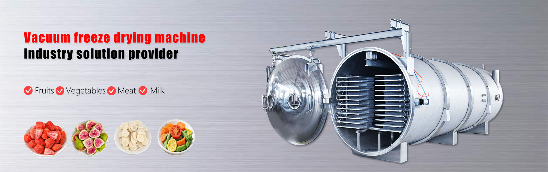 Vacuum Freeze Dryer