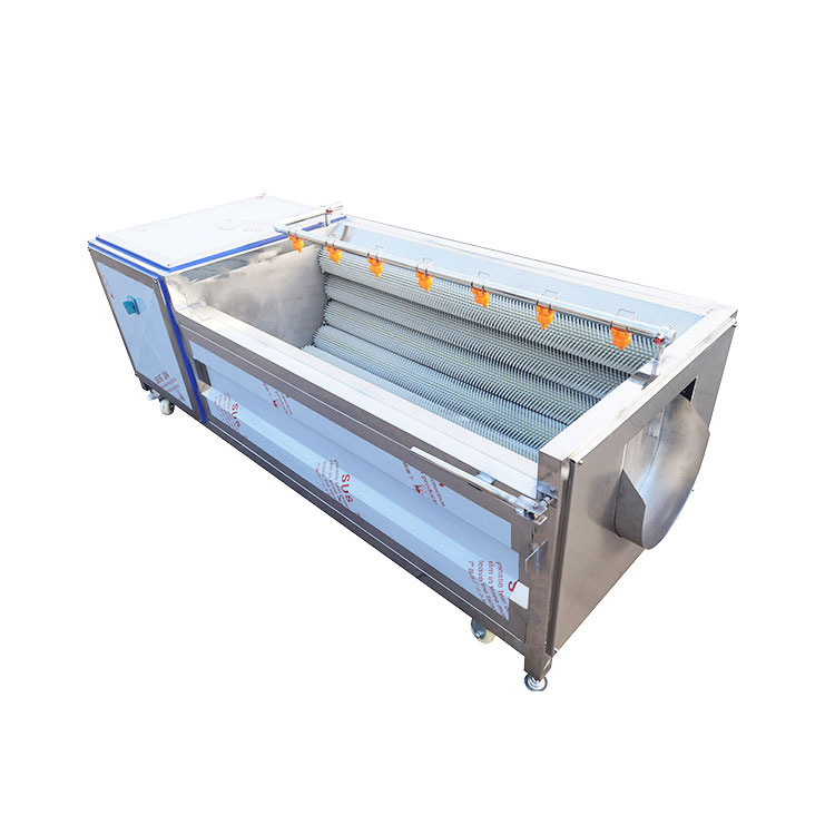 Potato washing and peeling machine